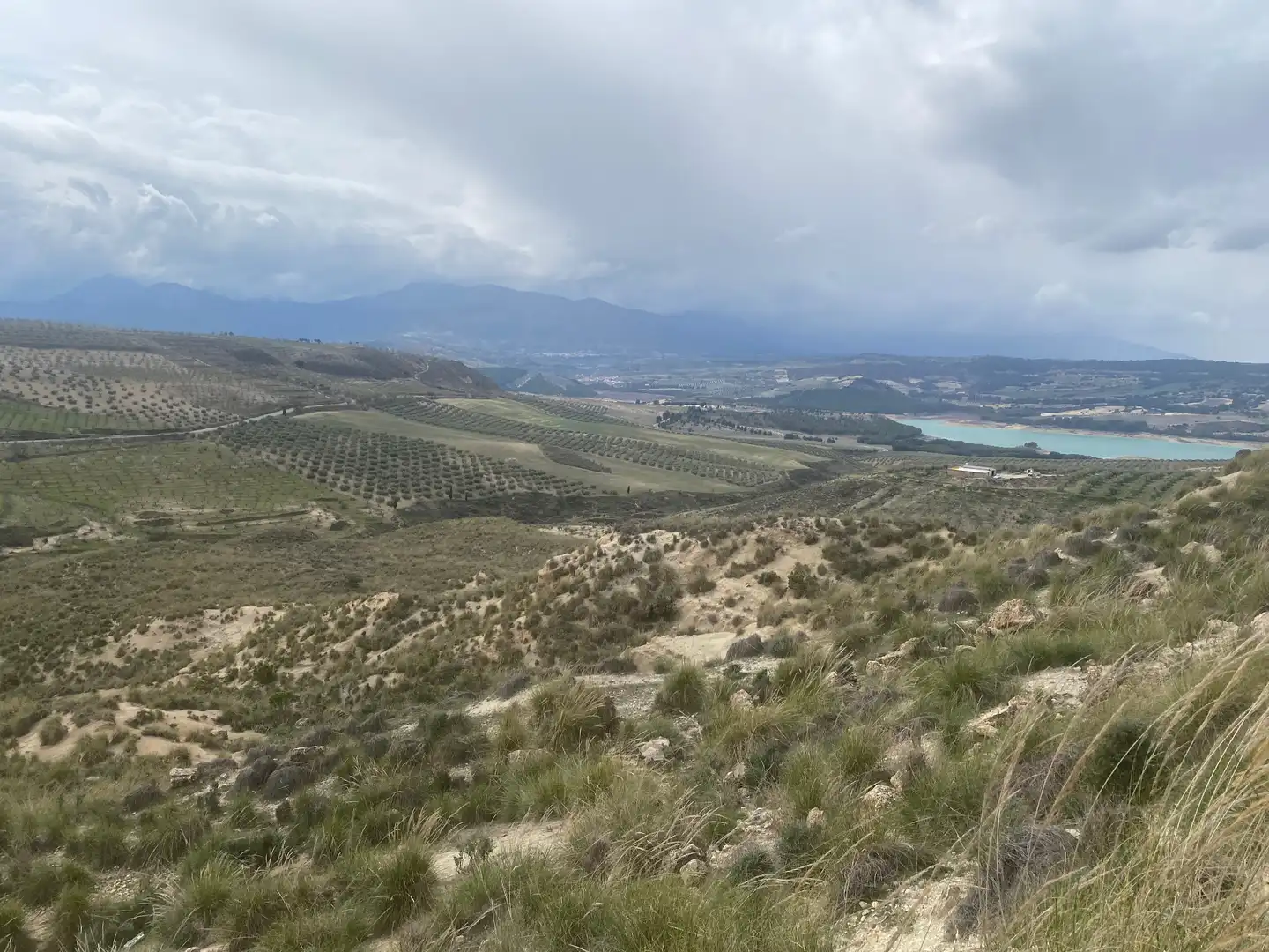 Rural land for sale in Calle Infanta Paz, imagen 4