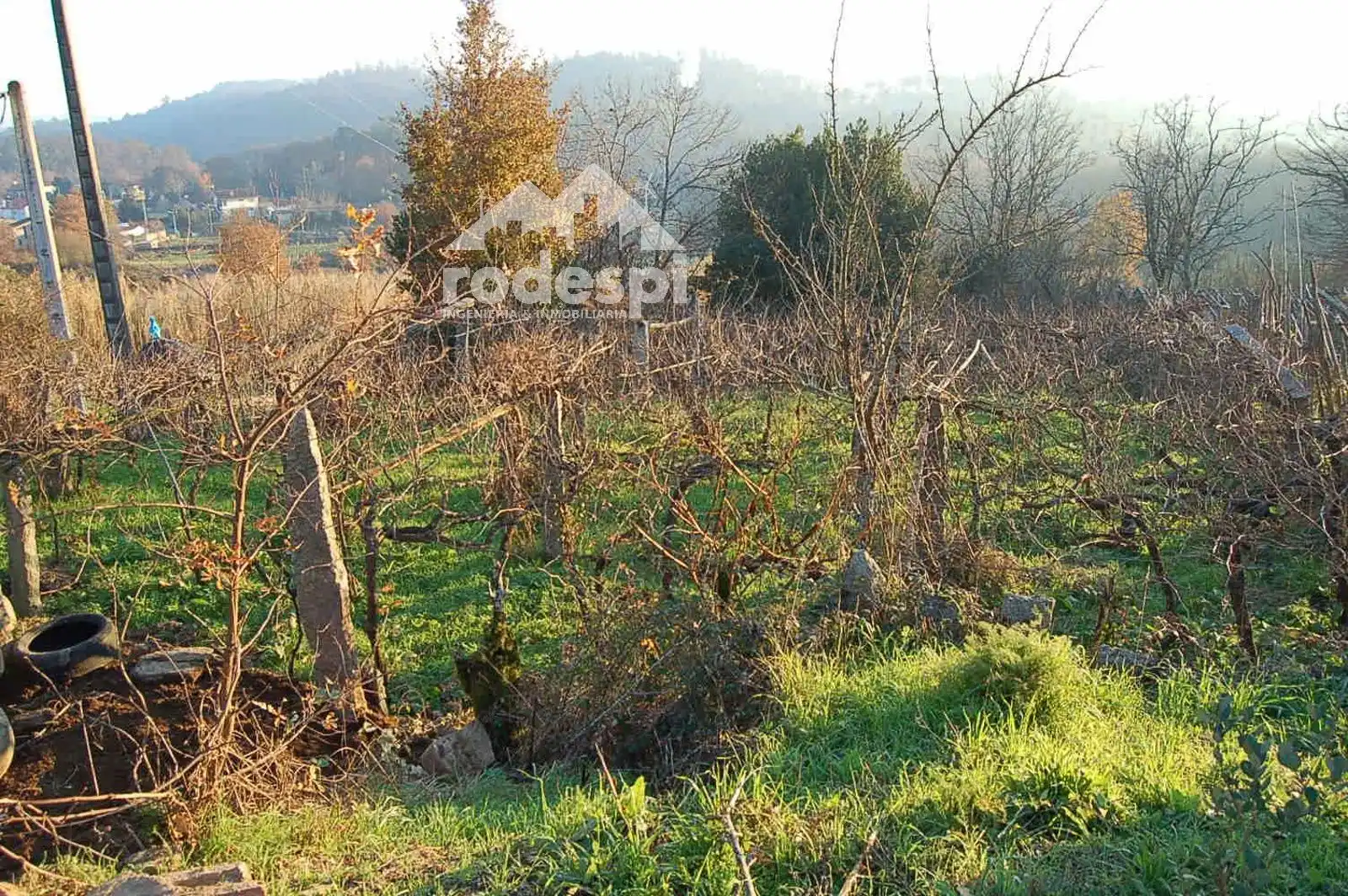 Terrenys i solars en venda a Ponteareas, imagen 5
