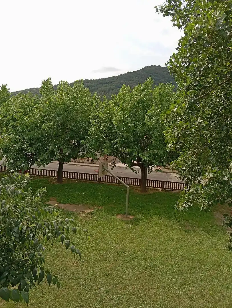Jardí de Casa adosada en venda en Besalú amb Traster