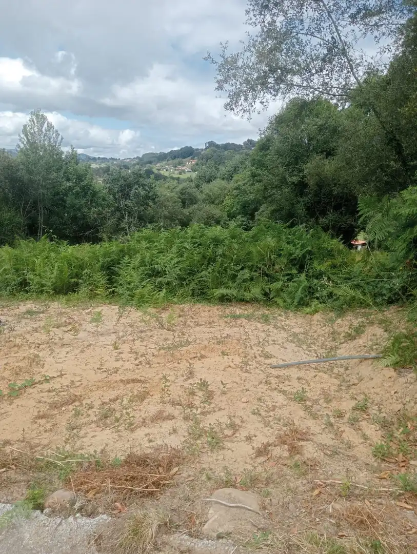 Terrenos y solares en venta en Parres, imagen 6