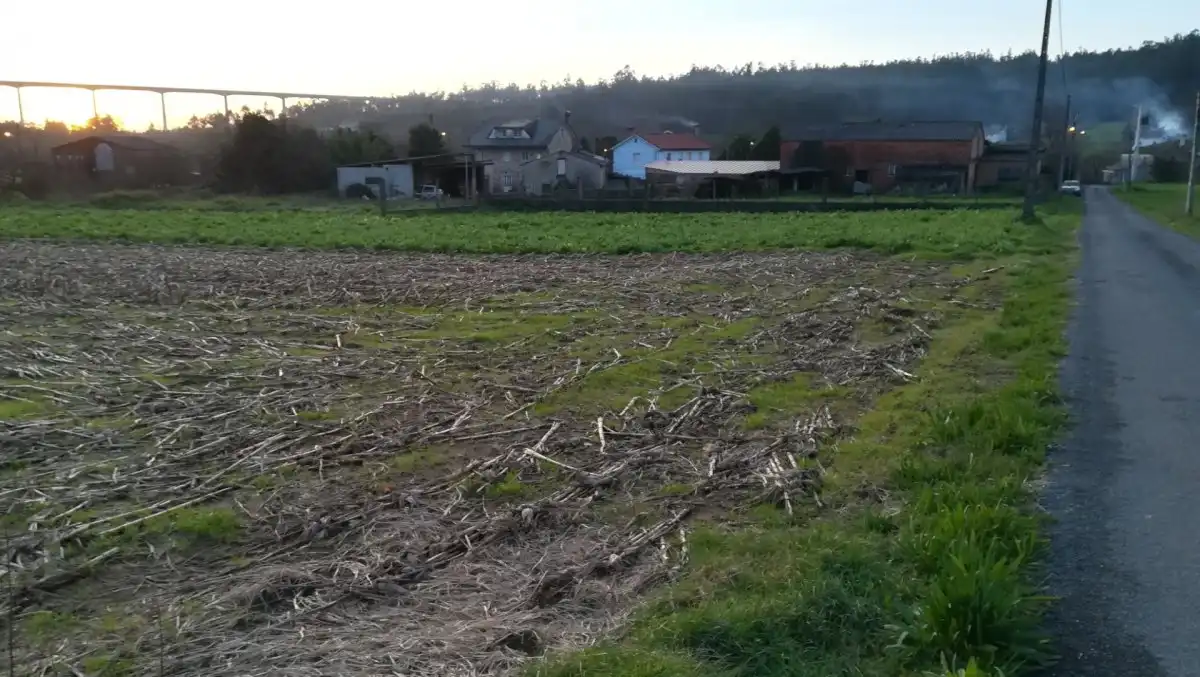 Terreni e lotti in vendita a Lugar NOENLLE, imagen 20