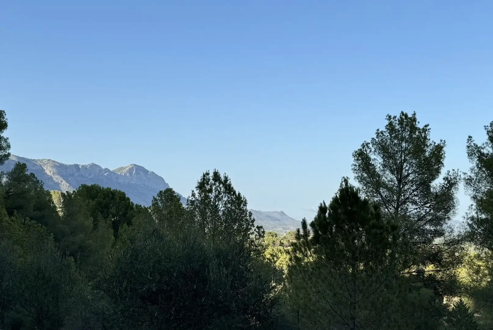 Casa con piscina en venta en Muro de Alcoy, imagen 5