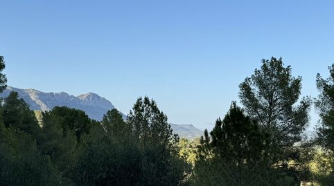 CHALET EN VENTA EN MURO DE ALCOY, imagen 5