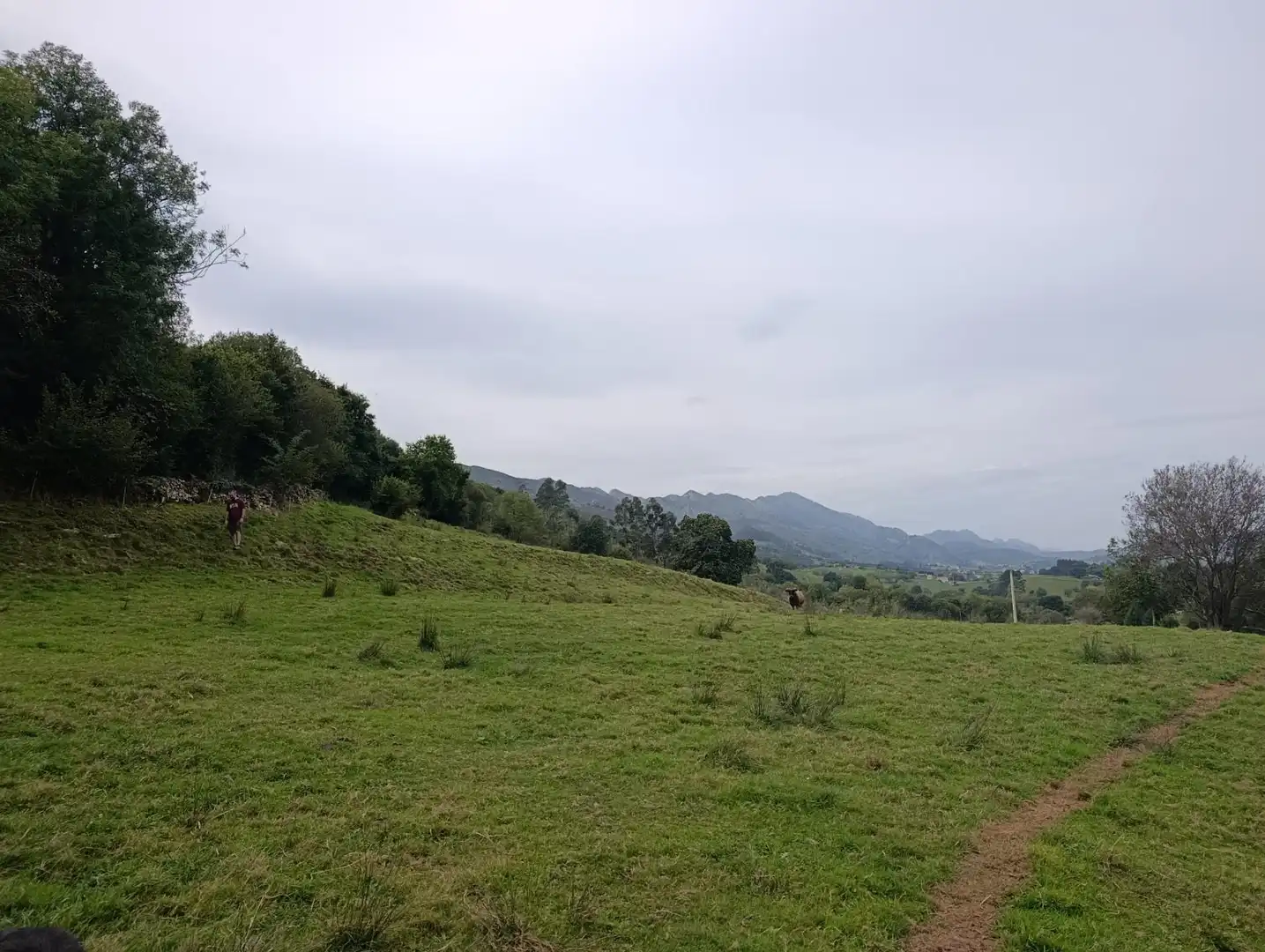 Rustikales Grundstück zum Verkauf in Carretera Piñera (Noriega) 0, imagen 5