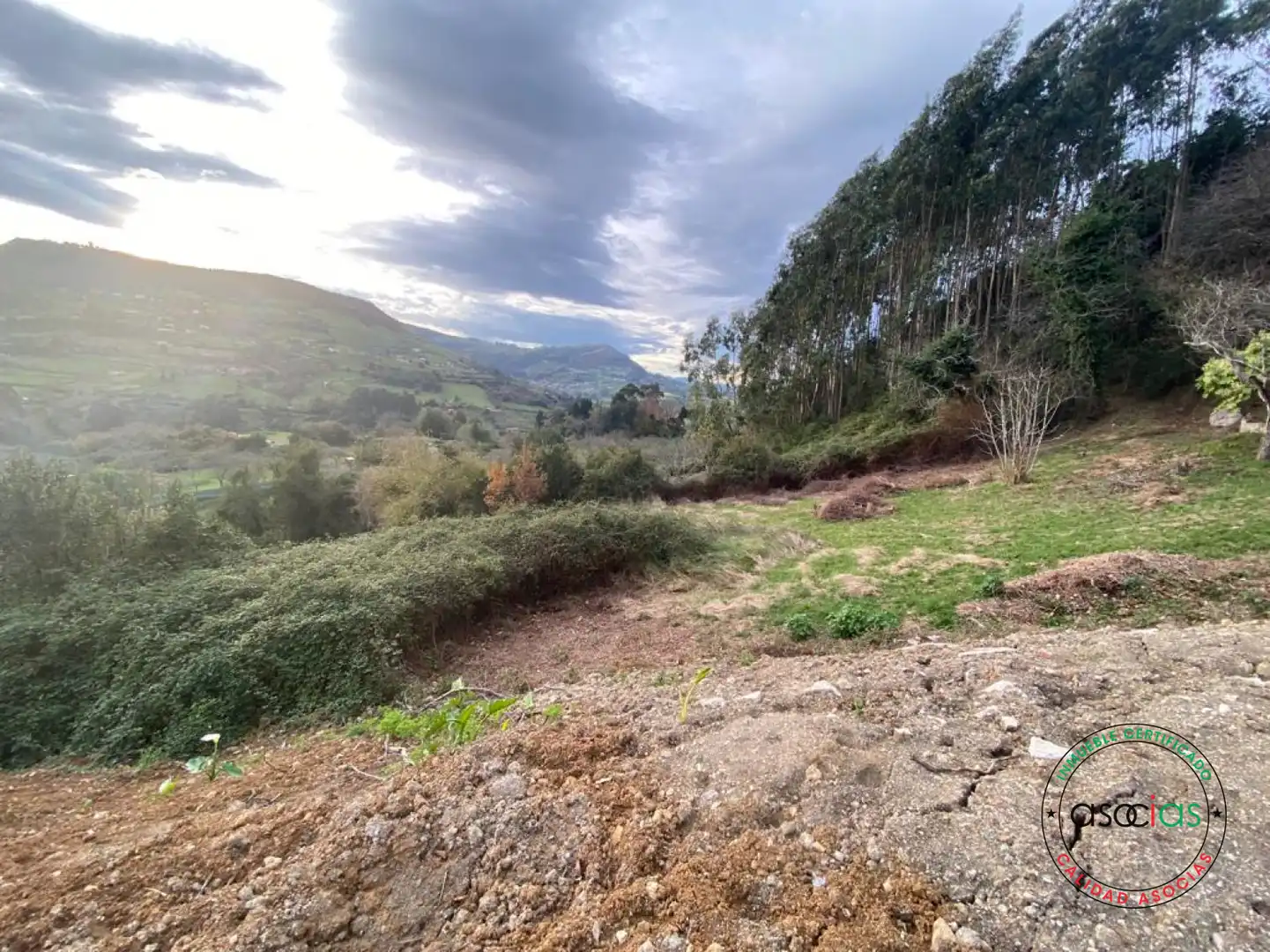 Terreno rustico in vendita a Gijón - BARRIO SAN PELAYO, imagen 3