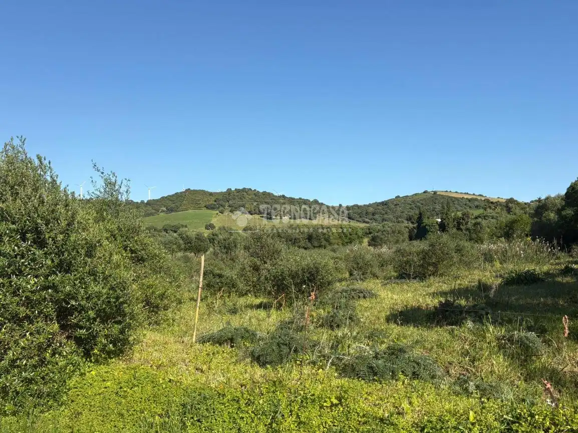 Terreno rustico in vendita a Barbate ciudad, imagen 5