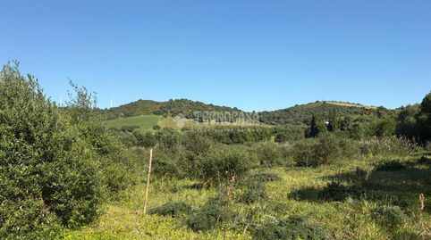 Foto 5 de Terreno en venta en Barbate ciudad, Barbate