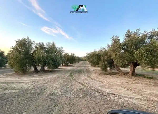 Terreni e lotti in vendita a Begíjar