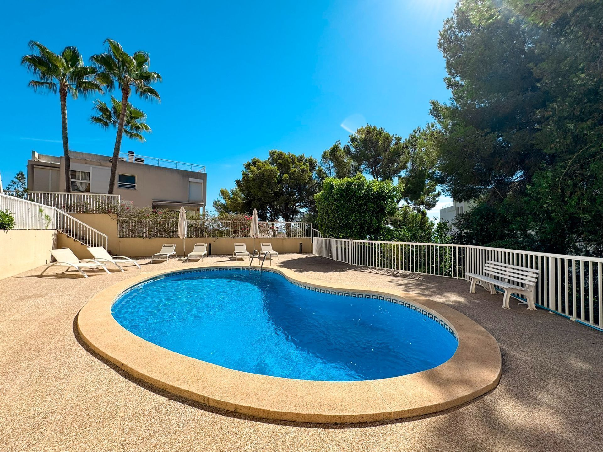 Swimming pool of Apartment to rent in Calvià  with Air Conditioner, Terrace and Furnished