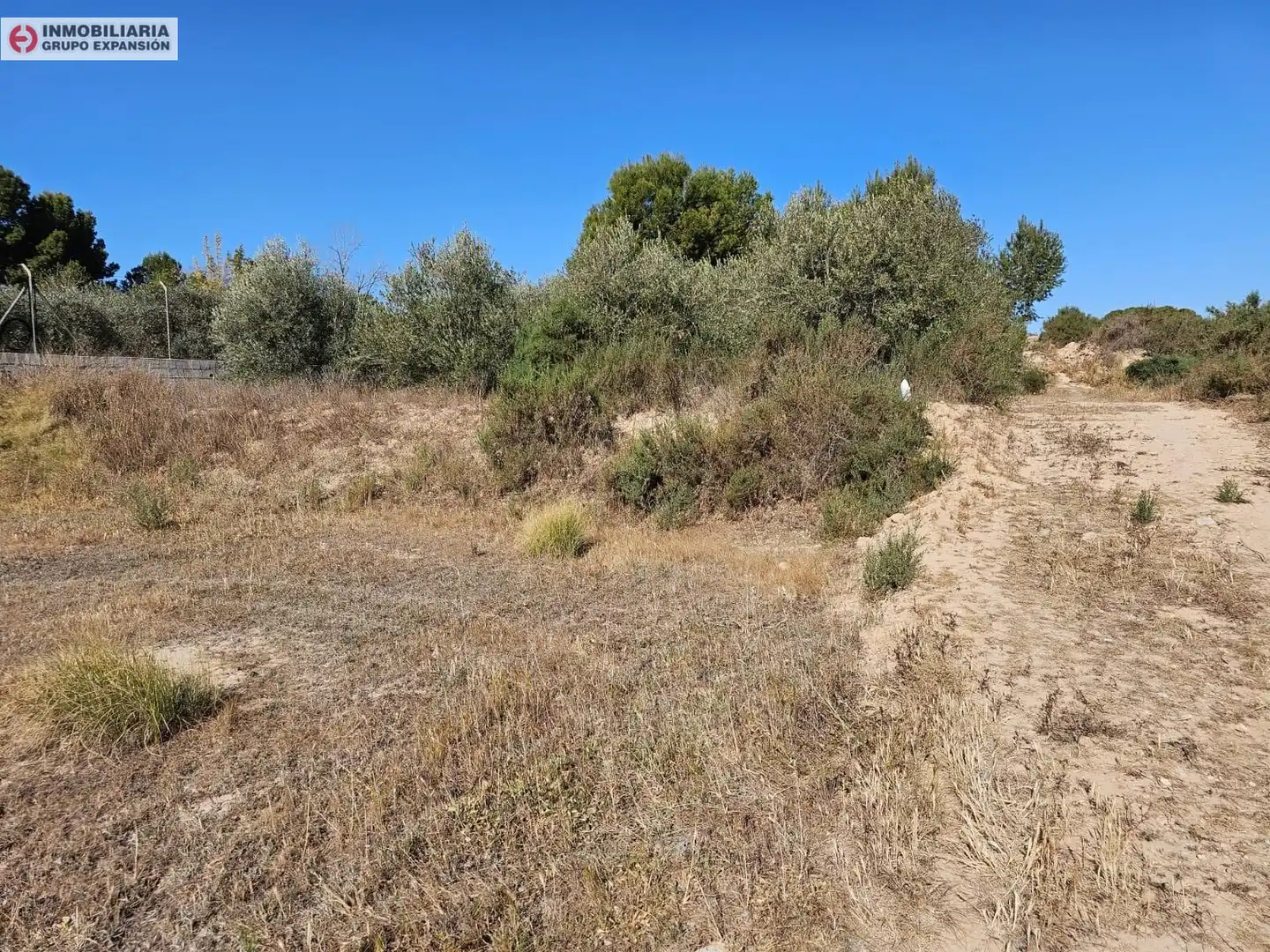 Houses for sale in Aspe