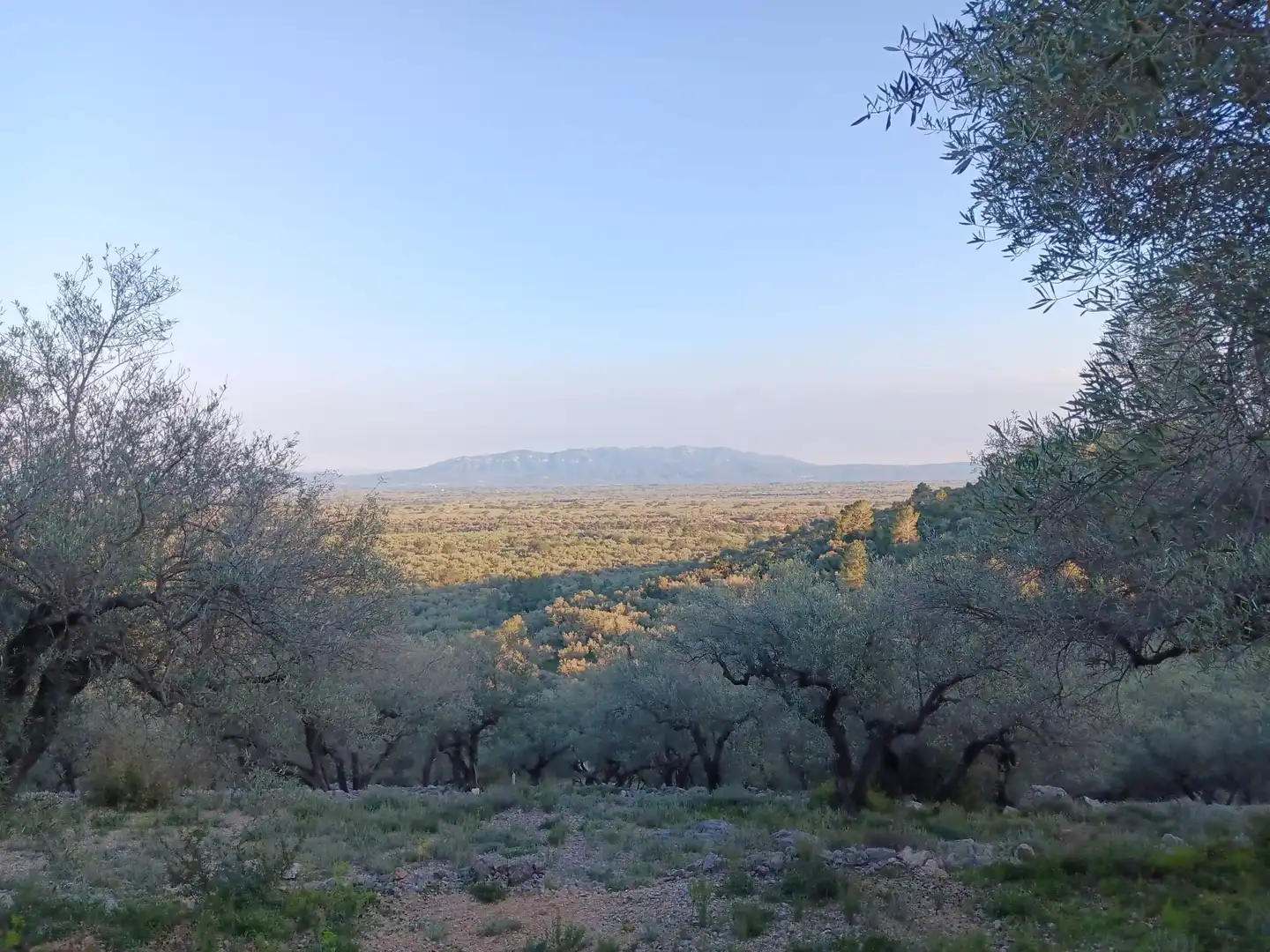 Terrenys i solars en venda a Ferreries, imagen 19