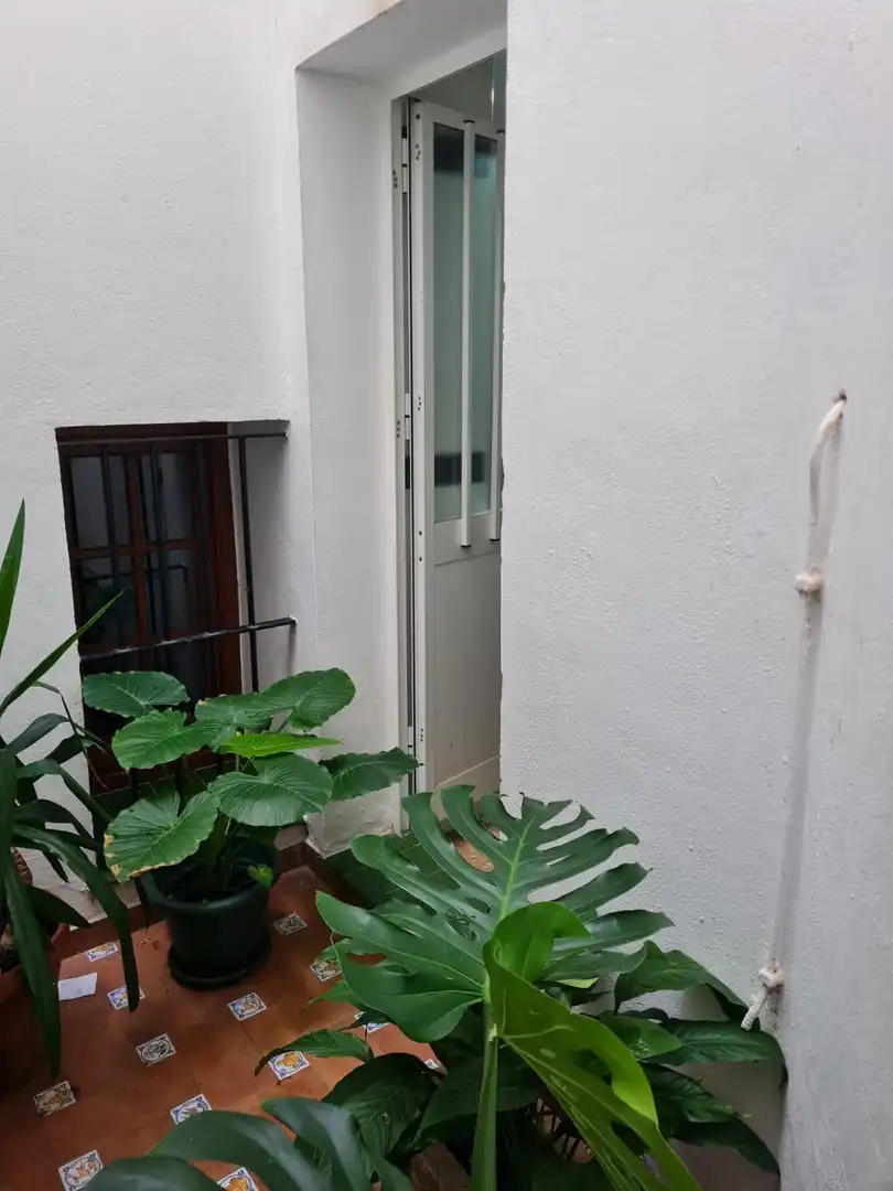 Pis amb terrassa en venda a Vejer, imagen 5