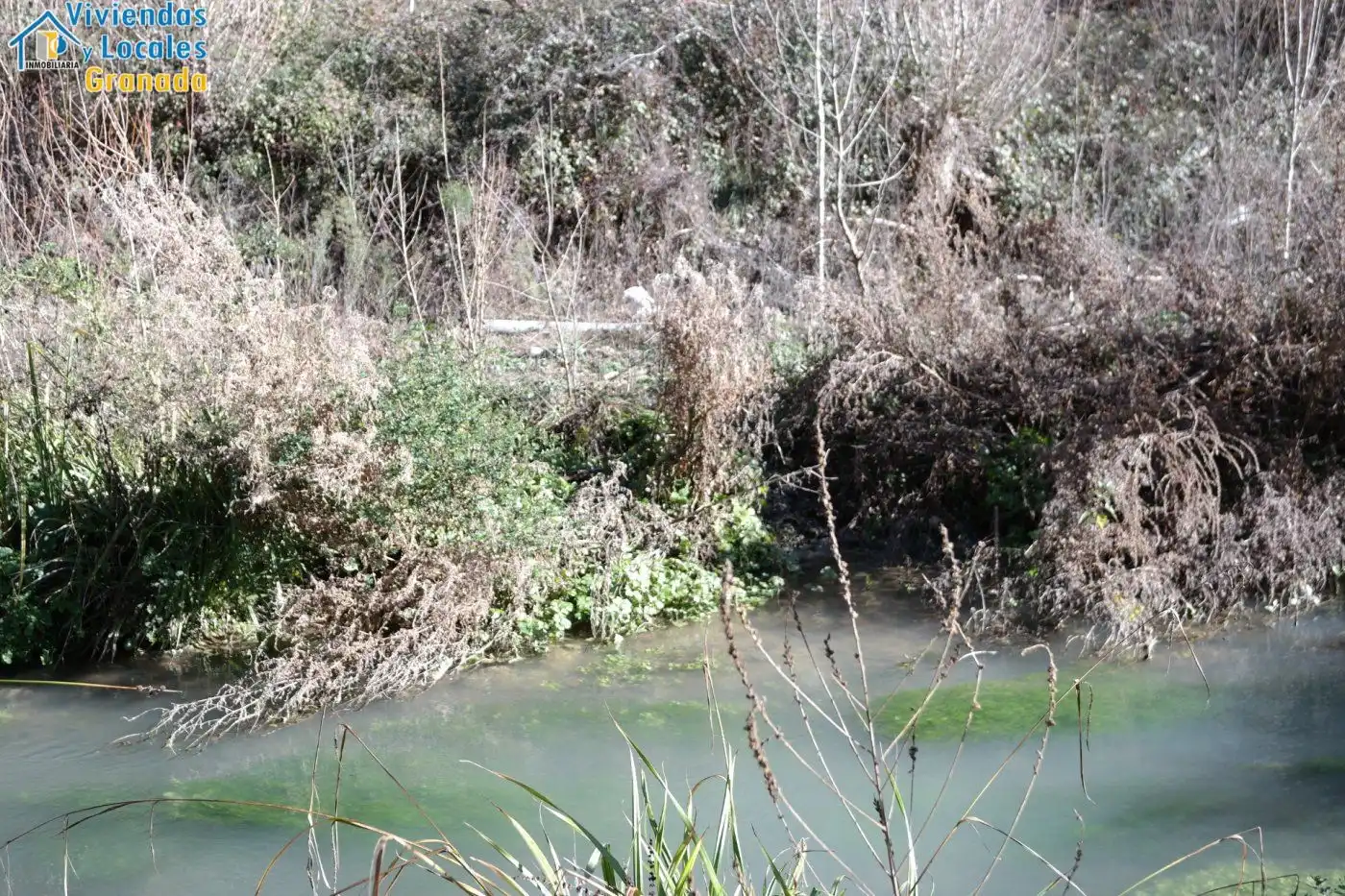 Terreni e lotti in vendita a Alhama de Granada, imagen 27