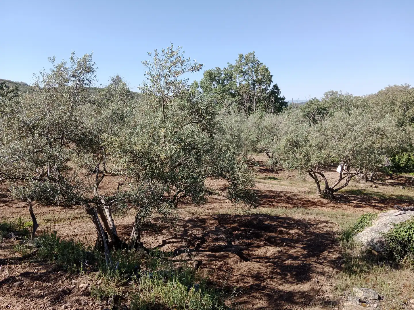 Terreni e lotti in vendita a N/A 0, imagen 37