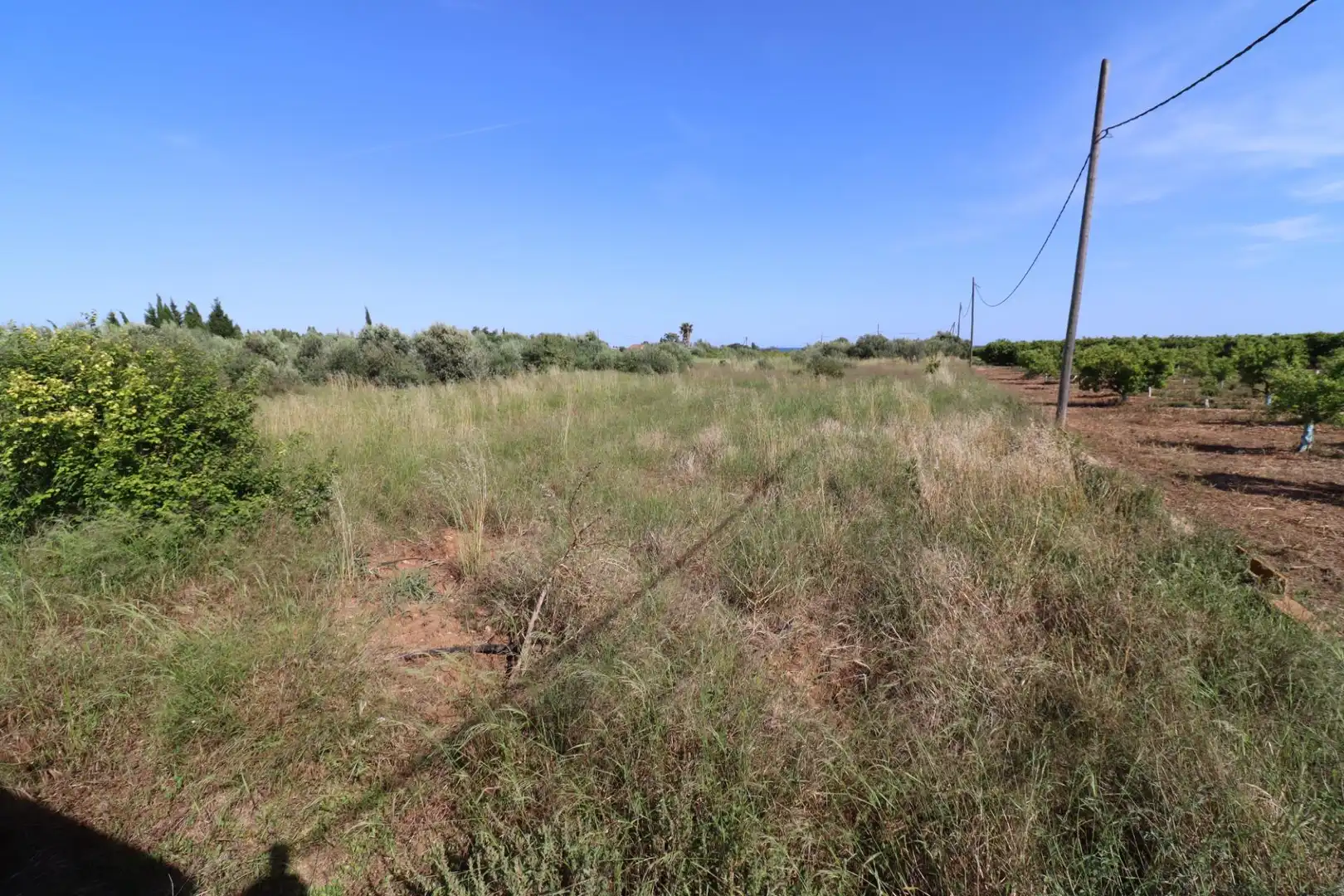 Terreno rústico en venta en Alcanar, imagen 11