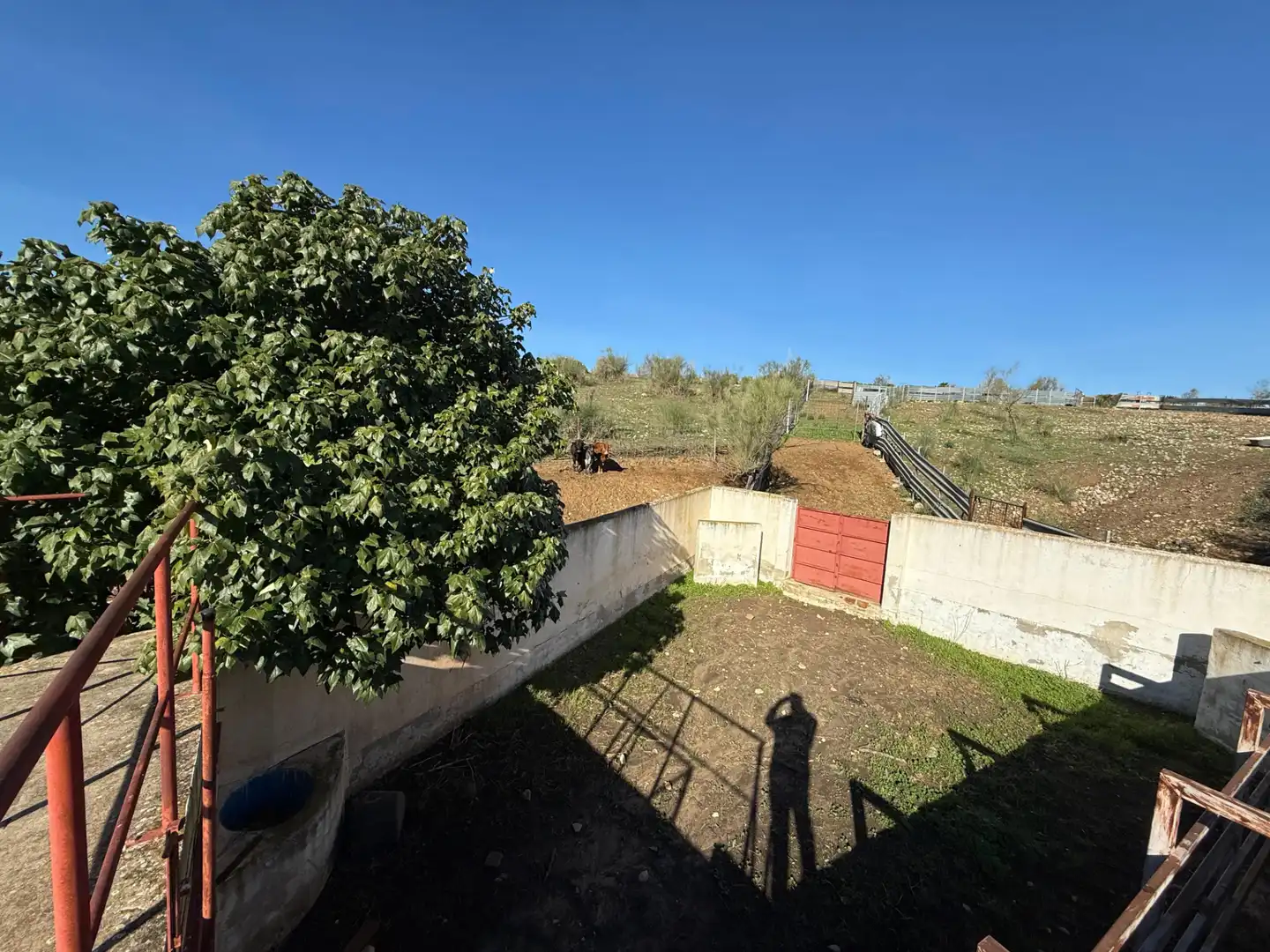 Garden of Houses for sale in Málaga  with Furnished