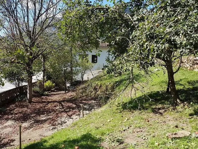 Houses for sale in Trescares, Peñamellera Alta