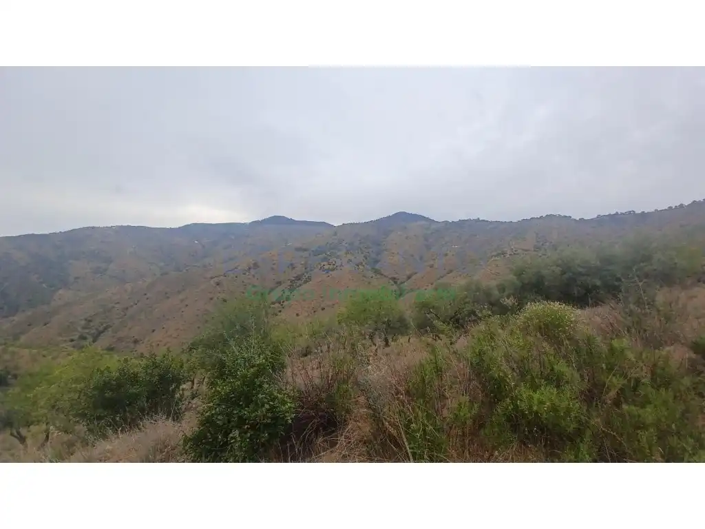 Terrenys i solars en venda a Camino Lagar Brun Bajo, imagen 3