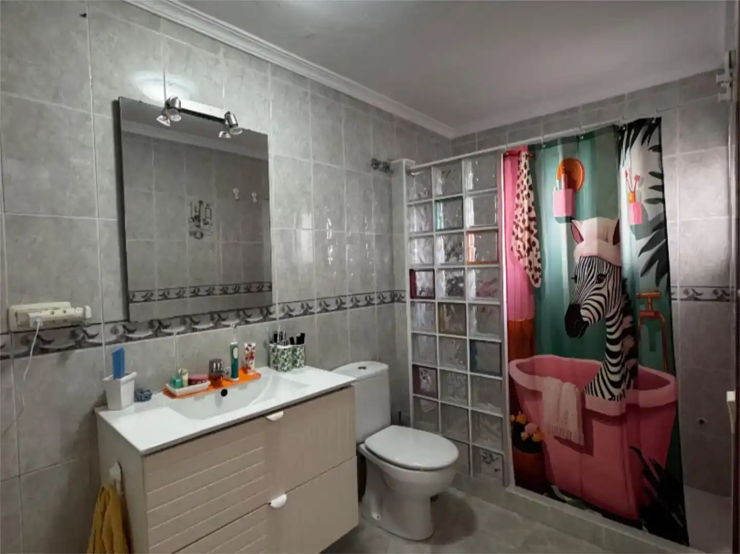 Bany de Pis en venda en Jimena de la Frontera amb Aire condicionat, Traster i Moblat