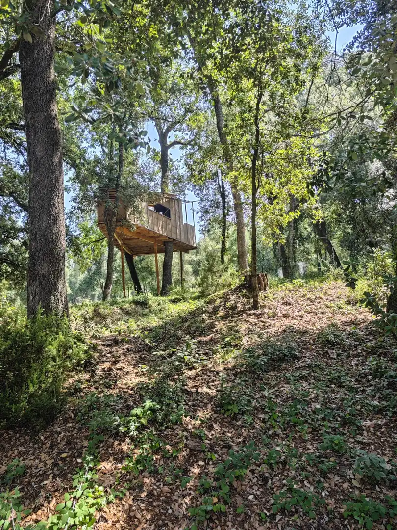 Terrenys i solars en venda a DE SALVADOR ESPRIU, imagen 52