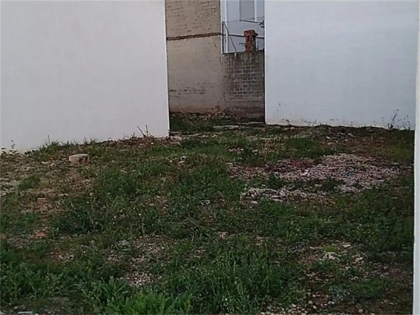Land for sale in Benimodo