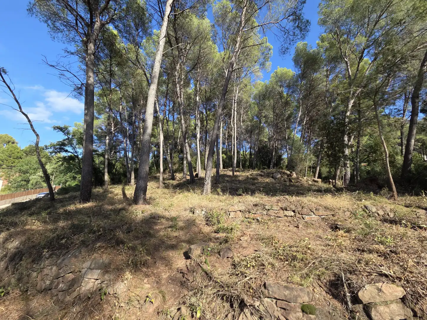 Wohnbaugrundstück zum Verkauf in Carrer Ramon Martí Alsina 7, imagen 10