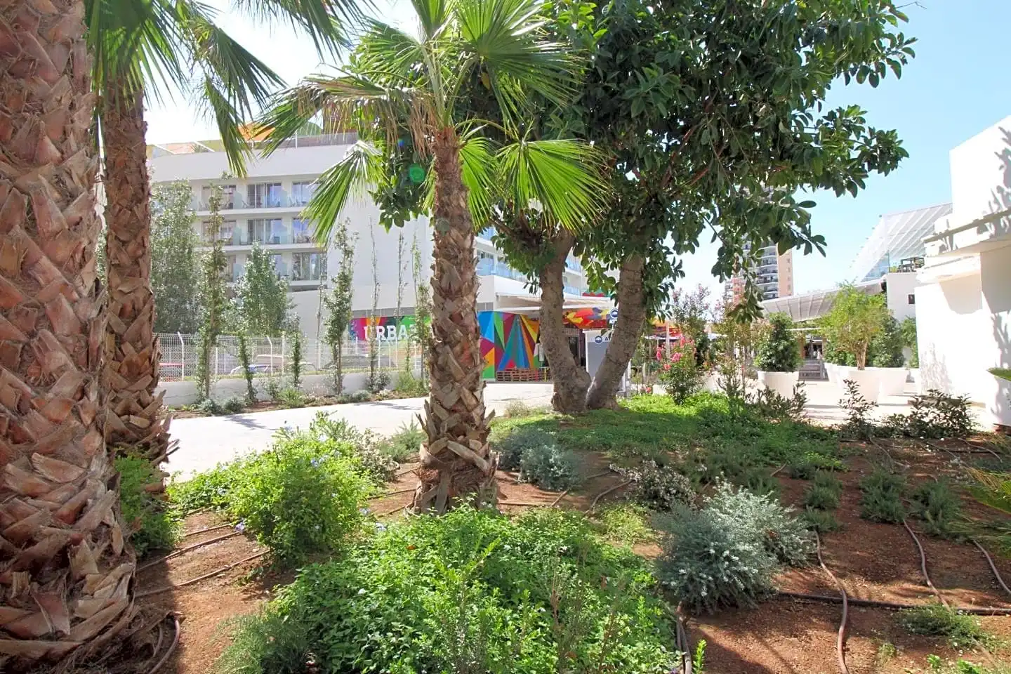 Gewerbefläche zum Verkauf in Magaluf, imagen 2