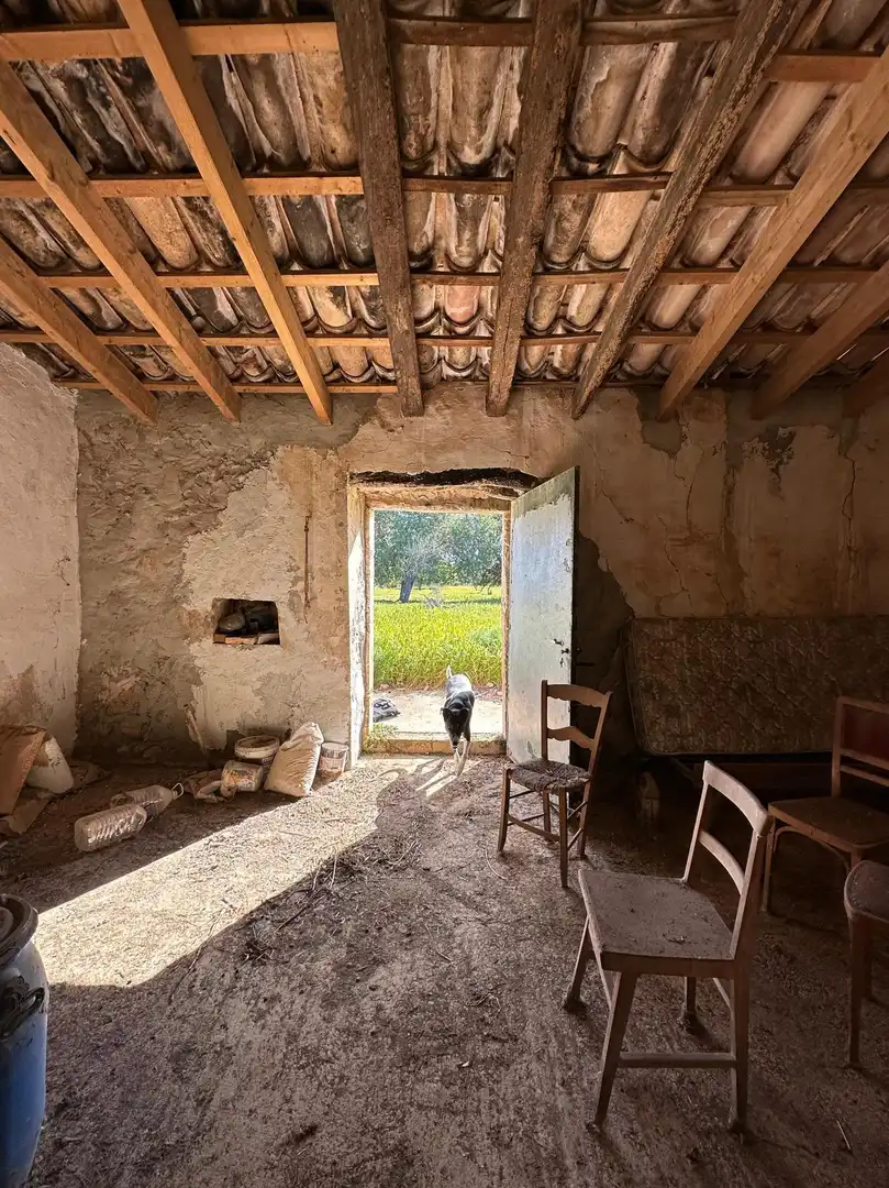 Terreno residenziale in vendita a Camino Selva, imagen 18