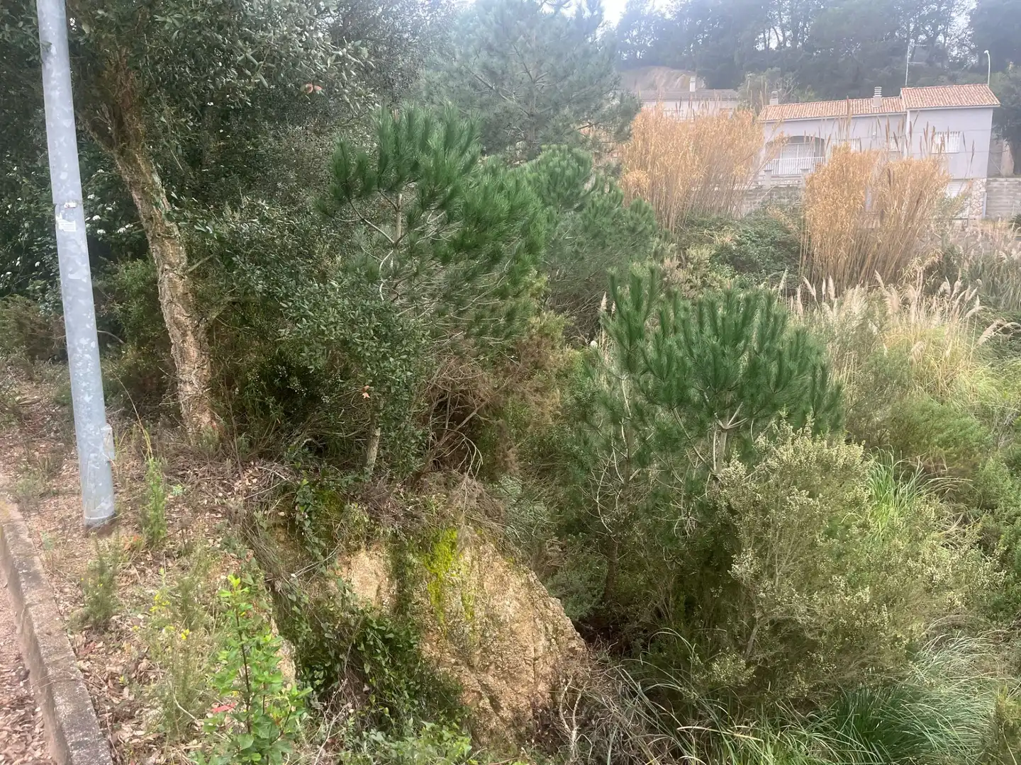 Wohnbaugrundstück zum Verkauf in Lloret Residencial - Montlloret, imagen 6