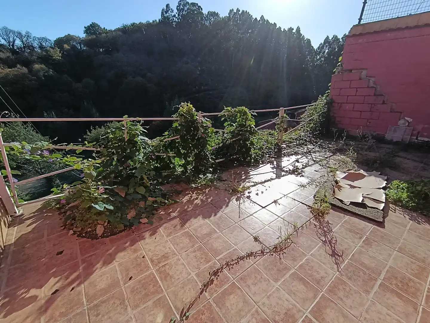 Jardín de Casa o chalet en venta en Avilés con Terraza, Trastero y Amueblado