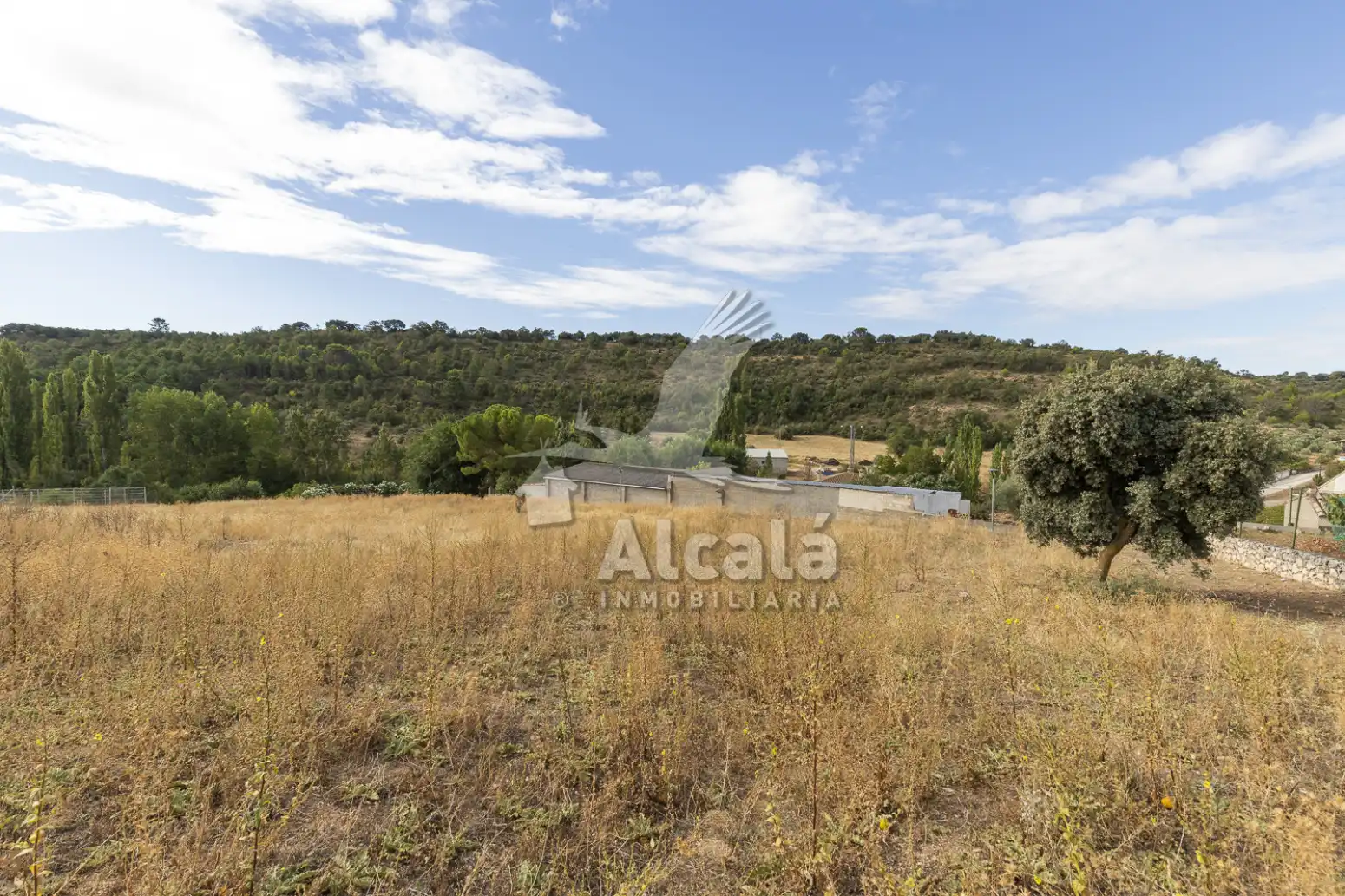 Residential land for sale in Hueva, imagen 13