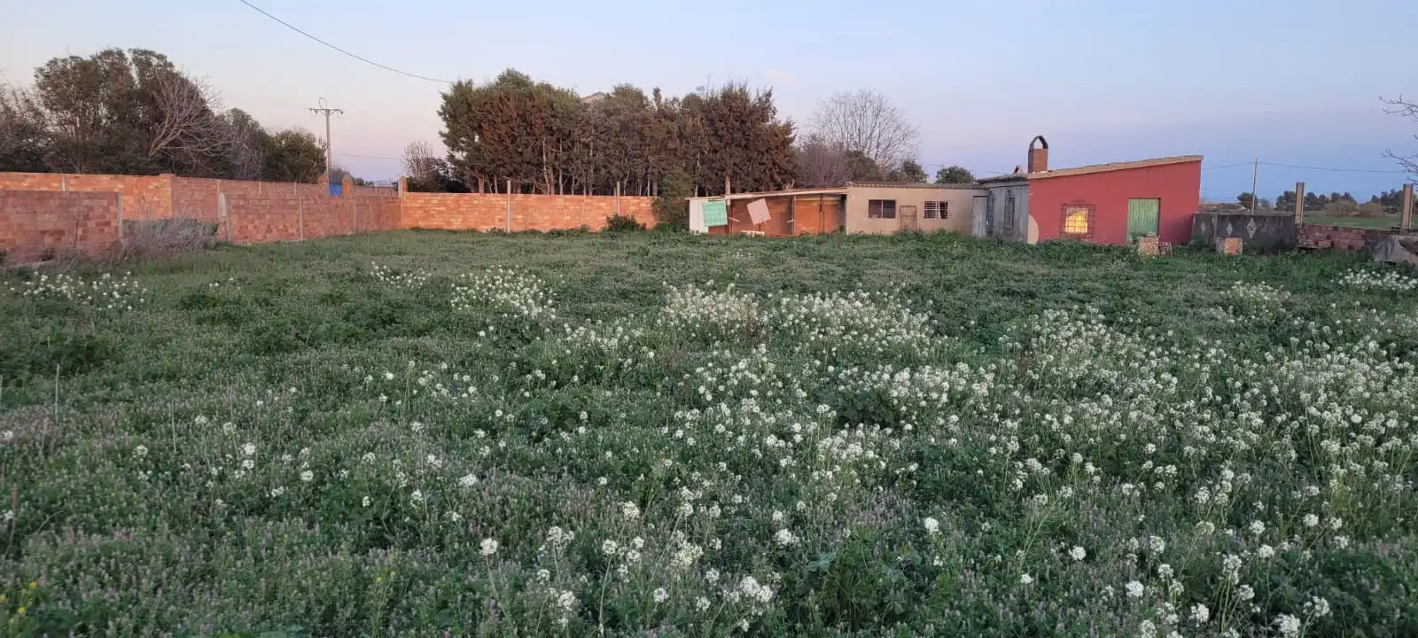 Terreno rústico en venta en Balaguer