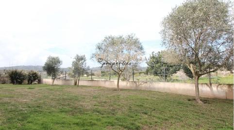 Foto 4 de Pis en venda a Porreres, Illes Balears