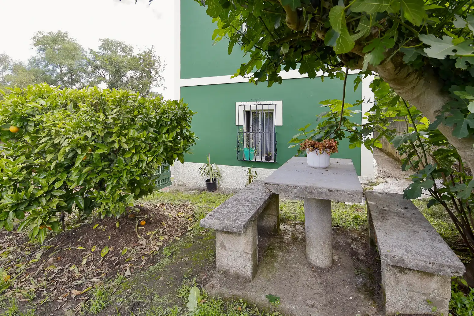 Garden of Houses for sale in Oviedo 