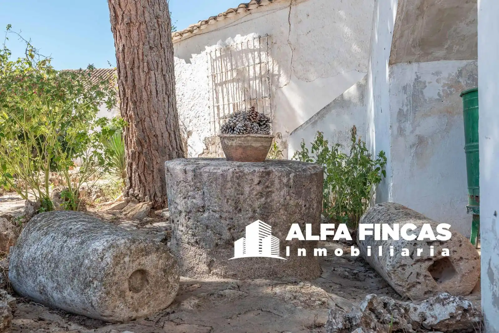 Casa o xalet en venda a CRUZ, 24, Los Hinojosos