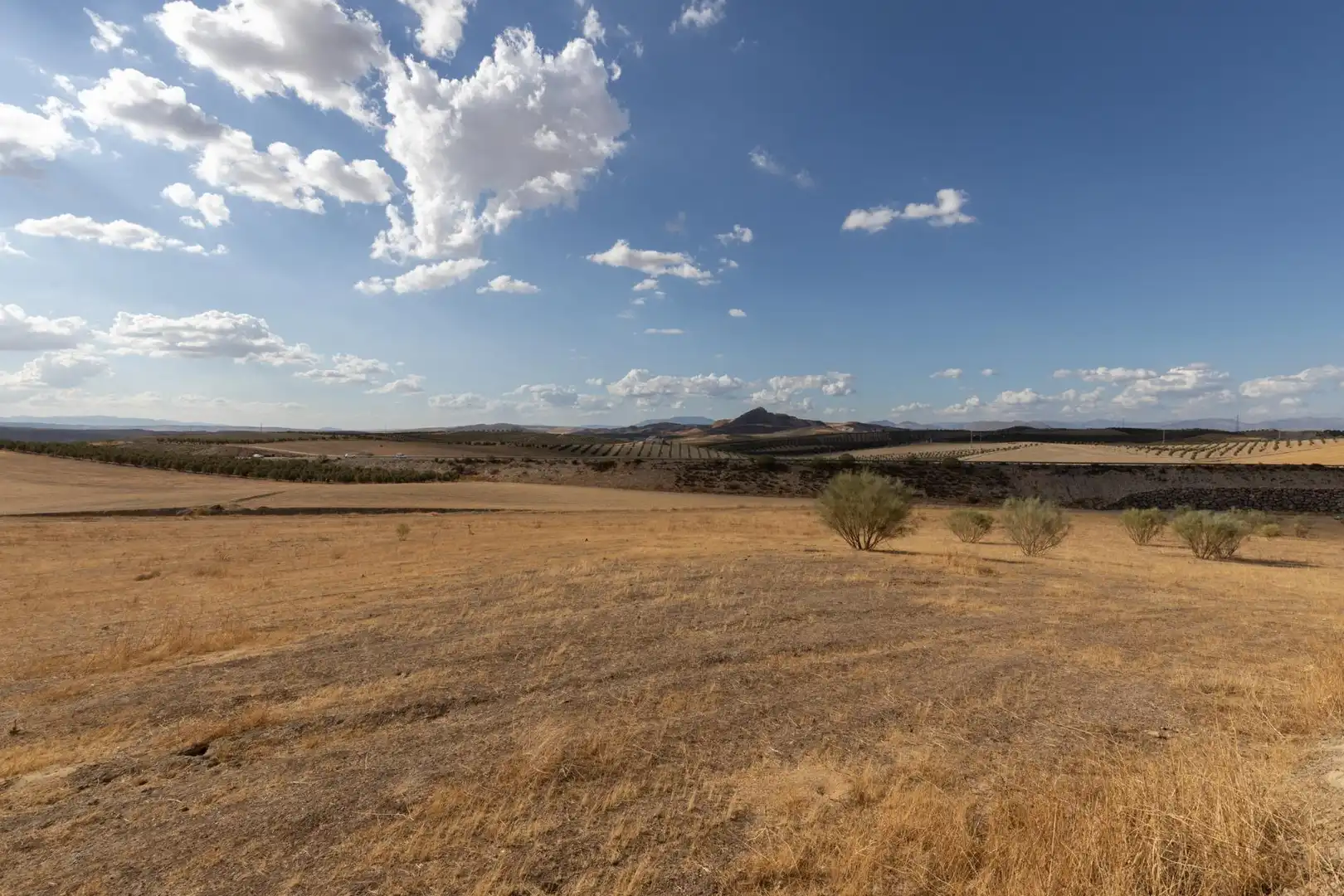 Lands and plots for sale in Polígono Polígono 6 Parcela 17 CAÑADA ESPARRAGAL. VILLA D 6, imagen 2