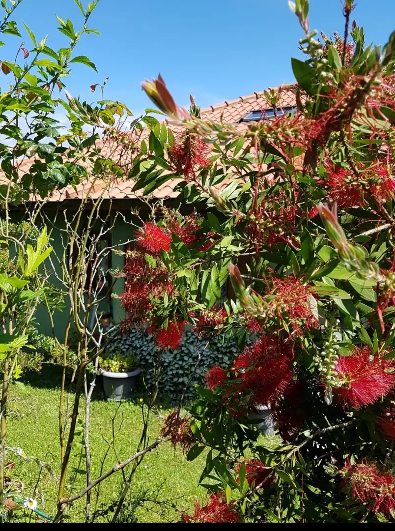 Villa con giardino in vendita a San Claudio - Trubia - Las Caldas, imagen 35