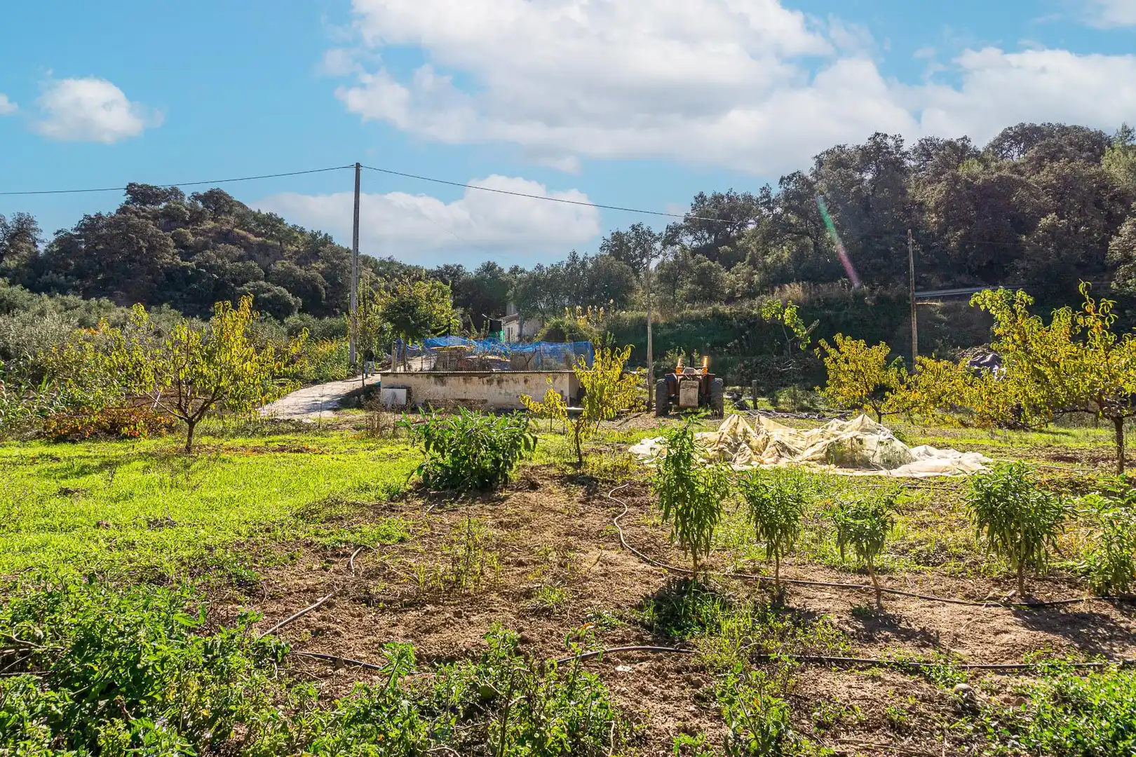 Casa rústica amb piscina en venda a JA-4306, imagen 42