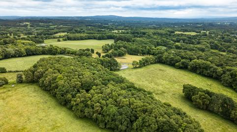 Foto 2 de Finca rústica en venta en Friol, Lugo