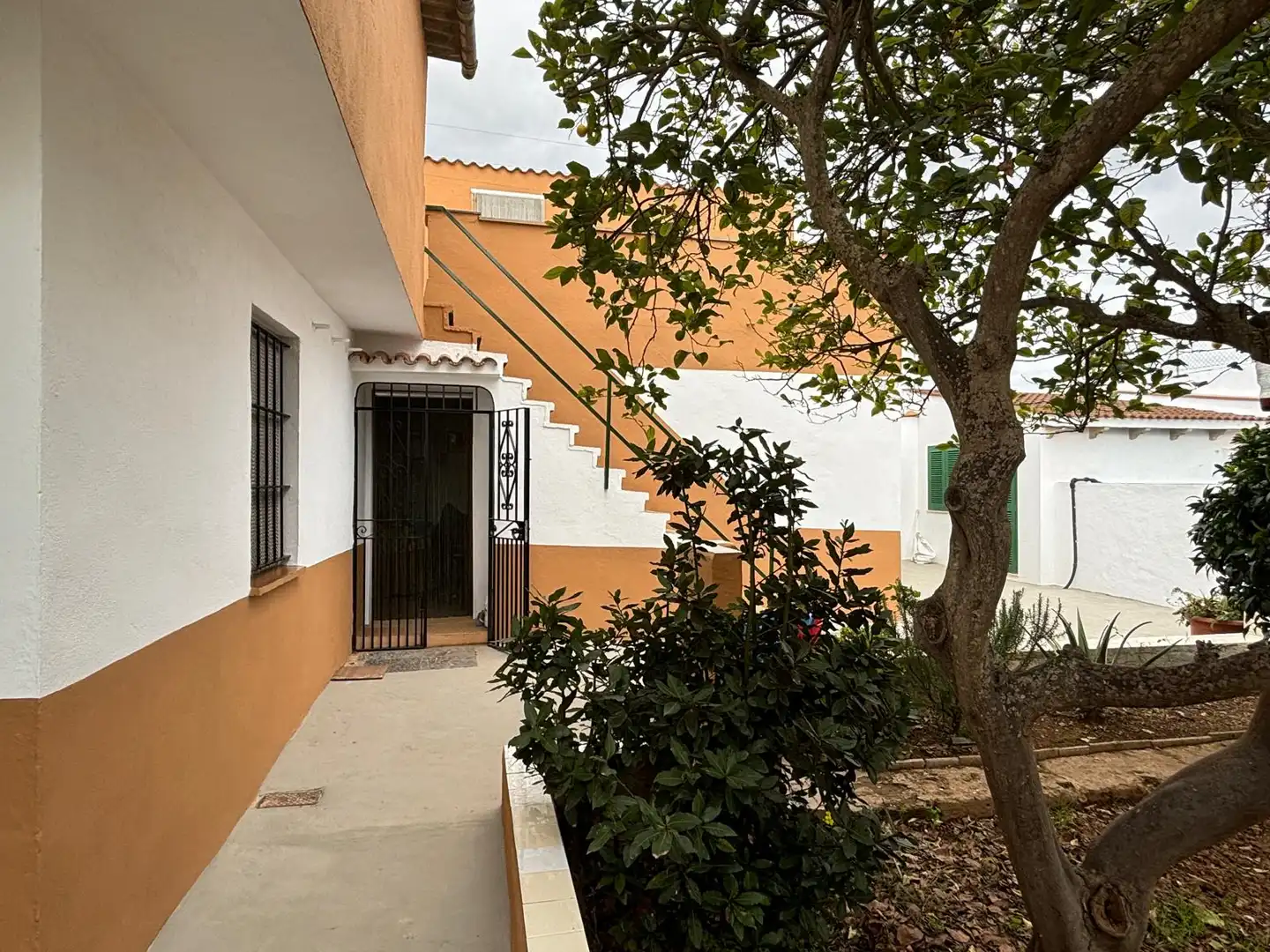 Vista exterior de Finca rústica en venta en Marratxí