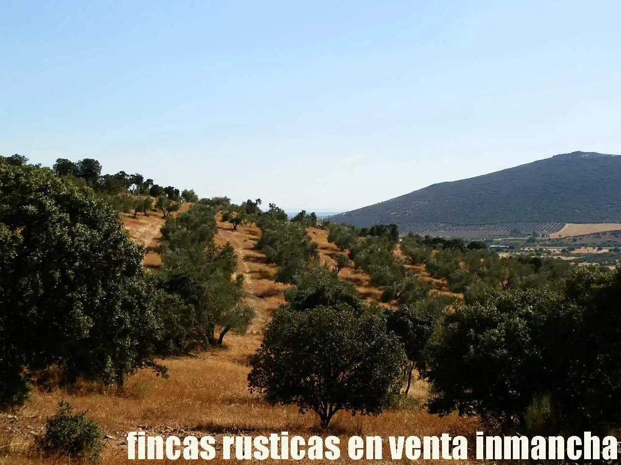 Terreny rústic en venda a Fuente el Fresno, imagen 17