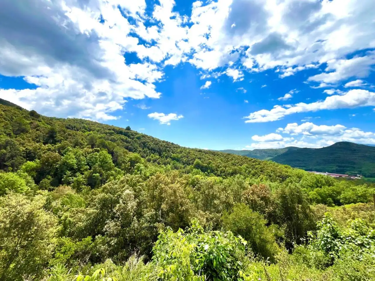 Vista exterior de Finca rústica en venta en Sant Aniol de Finestres con Calefacción, Jardín privado y Terraza