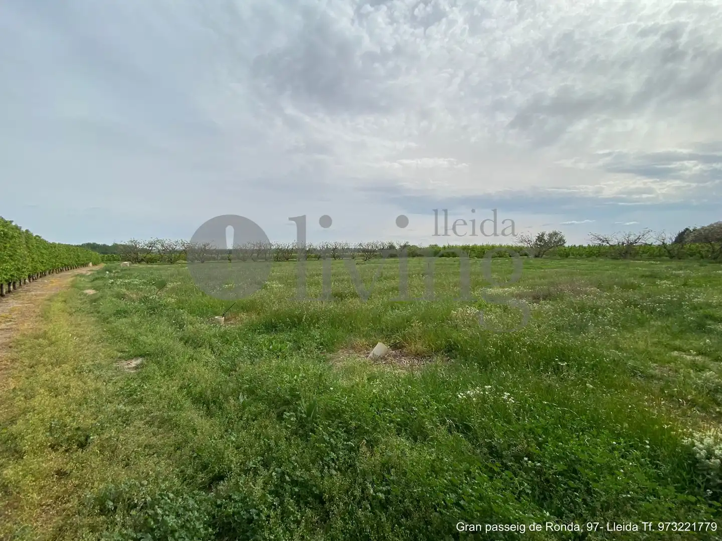 Maison à vendre à N-2 455, imagen 16