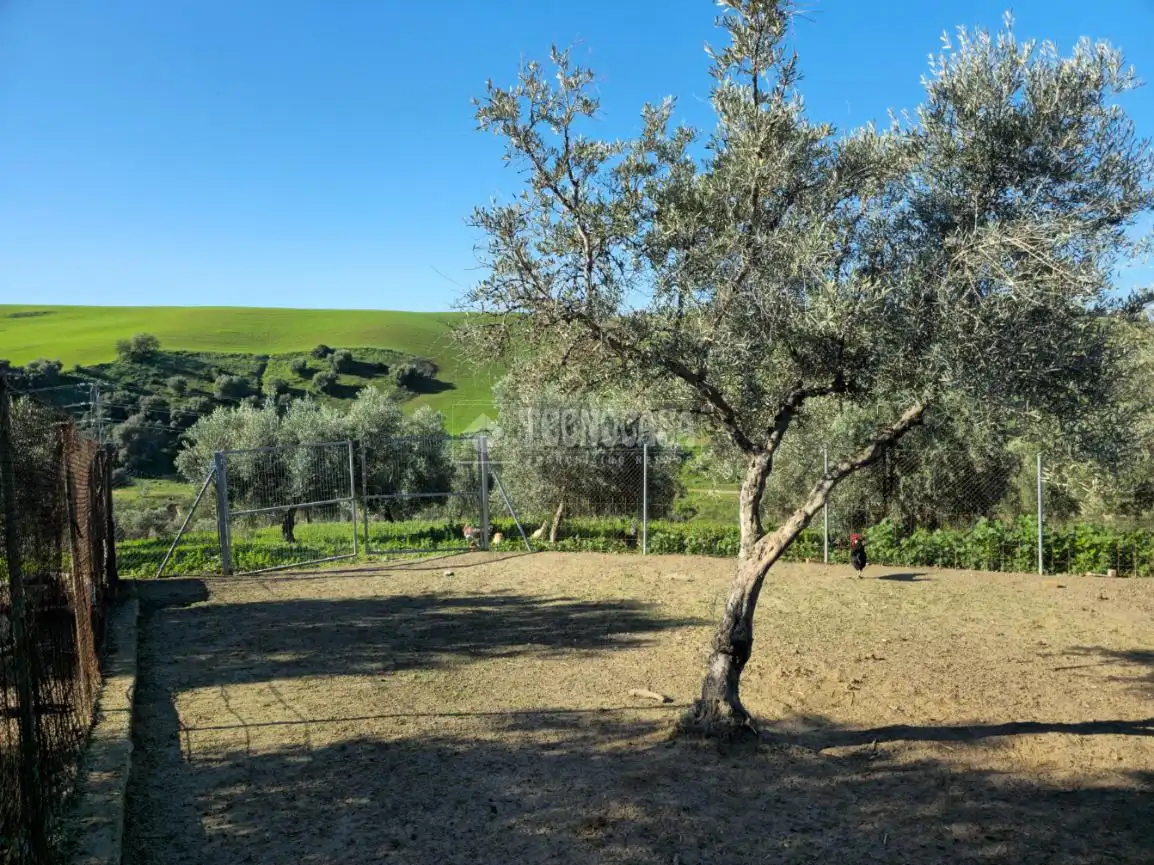 Terreno rustico in vendita a El Coronil