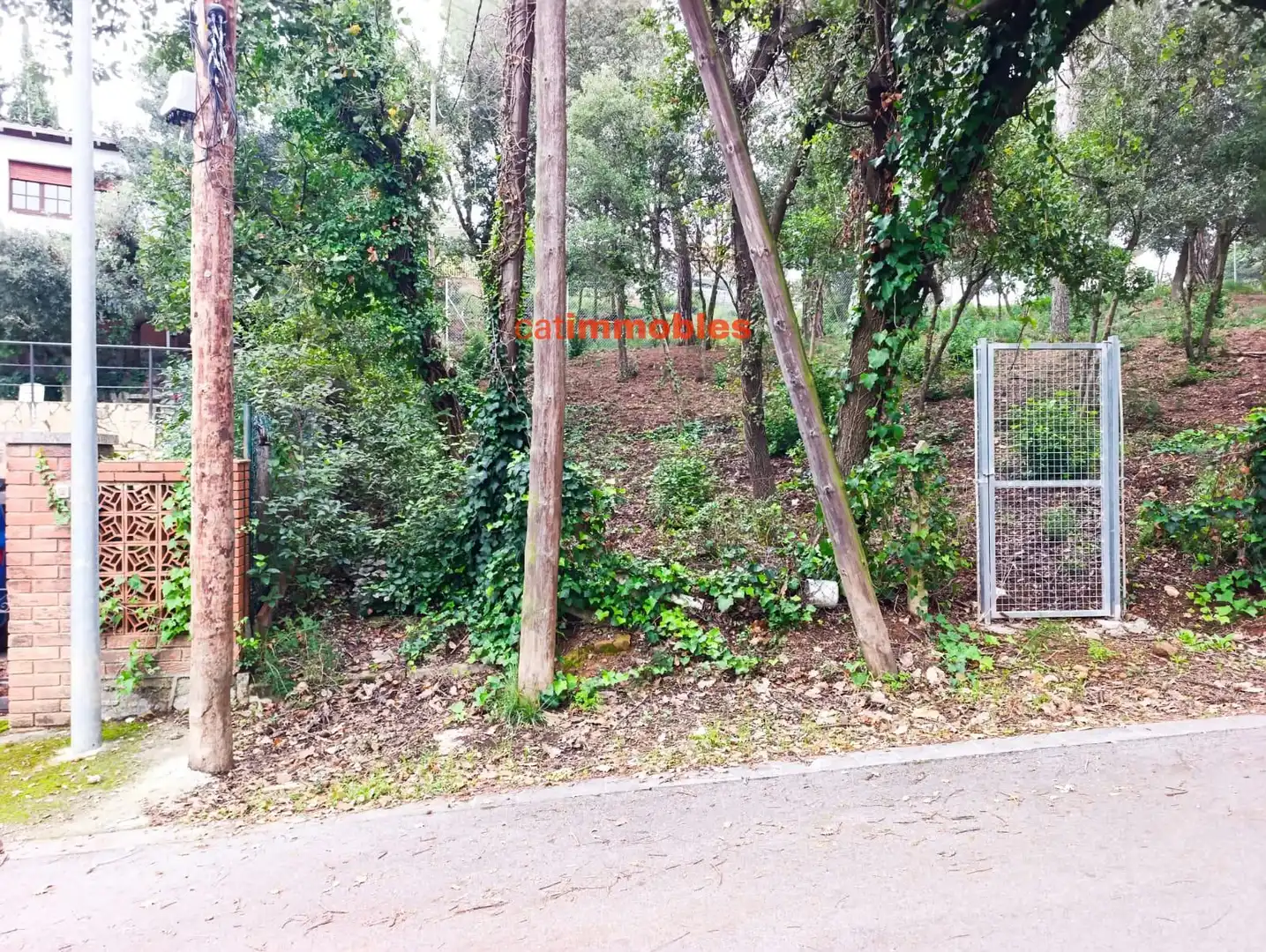 Terreny residencial en venda a Rosa Mariné, imagen 6