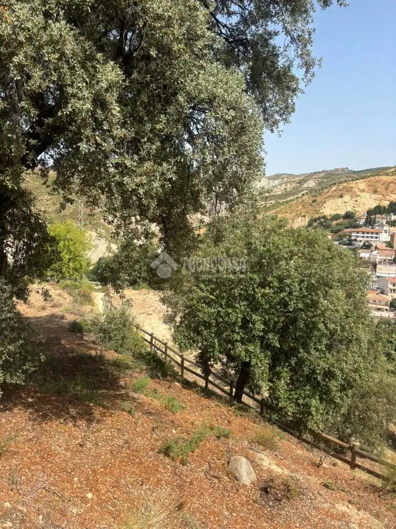 Land for sale in Quéntar