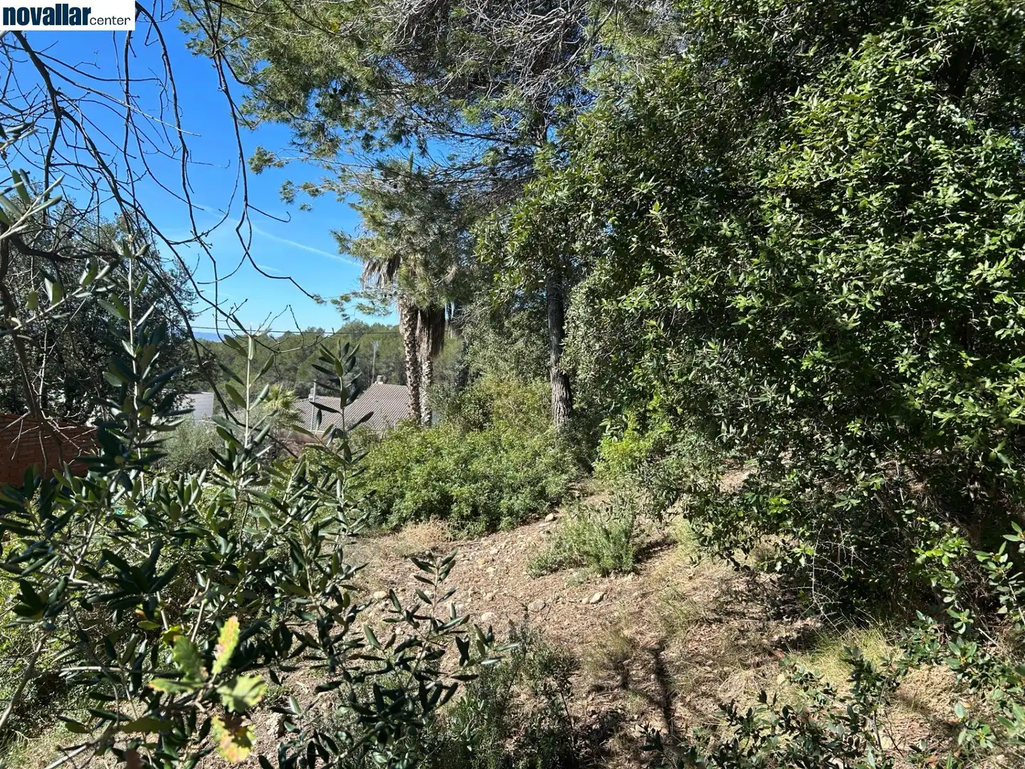 Lands and plots for sale in Carrer Vista Alegre 69, imagen 4