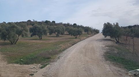Photo 2 of Land for sale in Partido del Barrancón, Pol.61, Par.92, 61, Jauja, Lucena