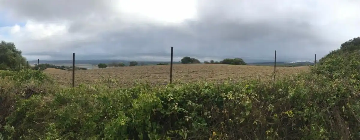 Terreny rústic en venda a Vejer, imagen 8