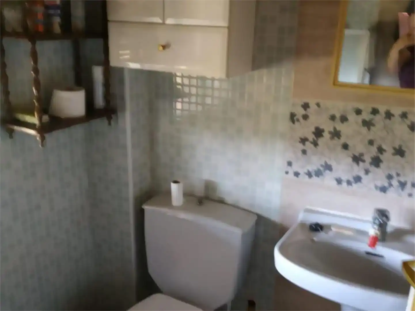 Bathroom of Land for sale in Garbayuela, Badajoz